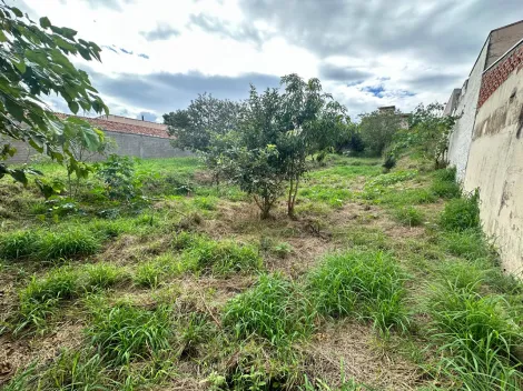 imagem 5 - Terreno - Padrão imagem 5 - Terreno - Padrão