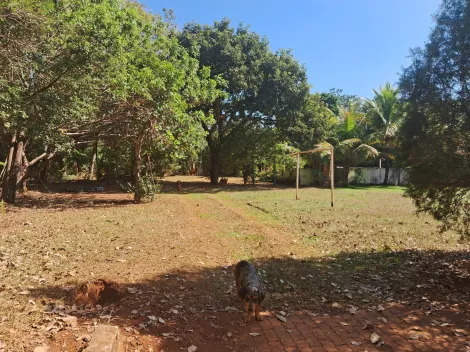 imagem 2 - Rural - Chácara imagem 2 - Rural - Chácara