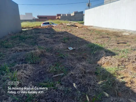 imagem 2 - Terreno - Padrão imagem 2 - Terreno - Padrão