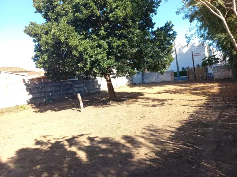 imagem 1 - Terreno - Padrão imagem 1 - Terreno - Padrão