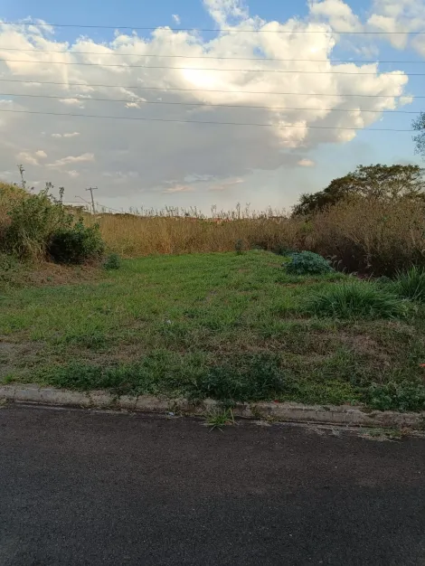 imagem 1 - Terreno - Padrão imagem 1 - Terreno - Padrão