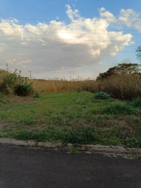 imagem 2 - Terreno - Padrão imagem 2 - Terreno - Padrão