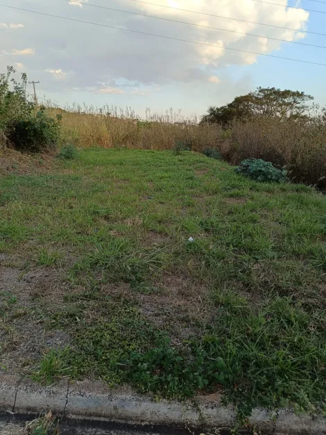 imagem 3 - Terreno - Padrão imagem 3 - Terreno - Padrão