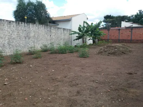 imagem 1 - Terreno - Padrão imagem 1 - Terreno - Padrão