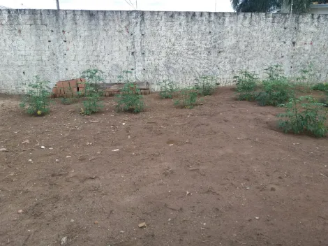 imagem 3 - Terreno - Padrão imagem 3 - Terreno - Padrão