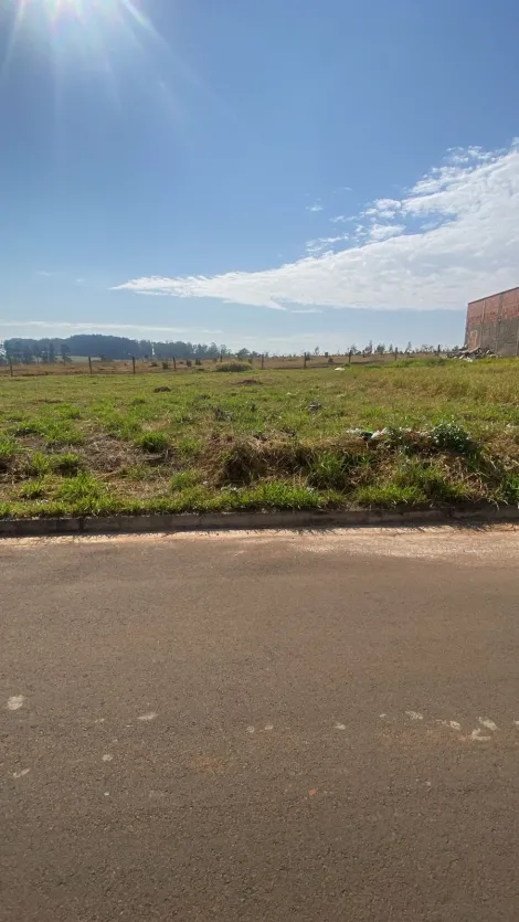 imagem 1 - Terreno - Padrão imagem 1 - Terreno - Padrão
