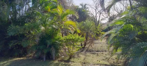 imagem 3 - Terreno - Padrão imagem 3 - Terreno - Padrão