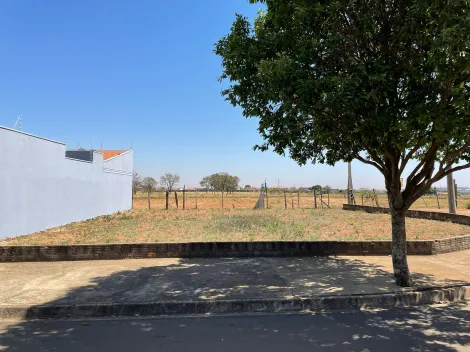 imagem 2 - Terreno de Esquina à Venda no Jardim do Bosque, Ibaté - 327,54 m² imagem 2 - Terreno de Esquina à Venda no Jardim do Bosque, Ibaté - 327,54 m²