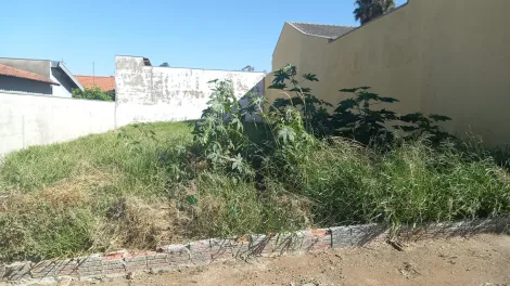 imagem 1 - Terreno - Padrão imagem 1 - Terreno - Padrão