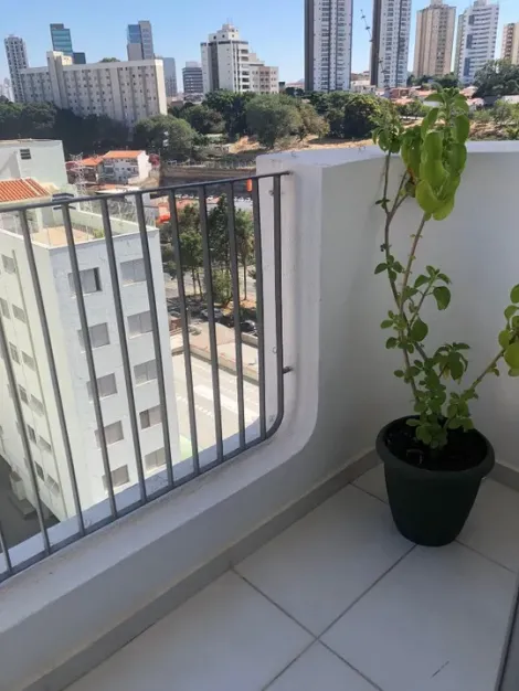 imagem 3 - Apartamento para Venda e locação com 3 dormitórios 1 Vaga no Cambuí em Campinas imagem 3 - Apartamento para Venda e locação com 3 dormitórios 1 Vaga no Cambuí em Campinas
