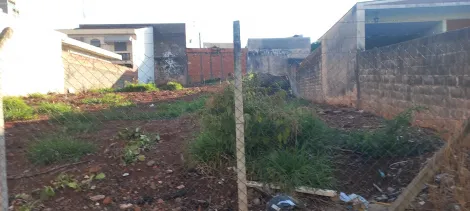imagem 1 - Terreno - Padrão imagem 1 - Terreno - Padrão