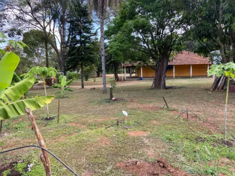 imagem 5 - Rural - Chácara imagem 5 - Rural - Chácara