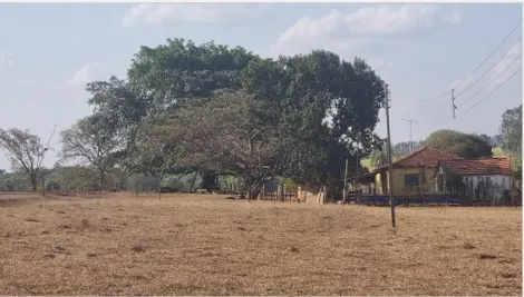 imagem 5 - Rural - Área imagem 5 - Rural - Área