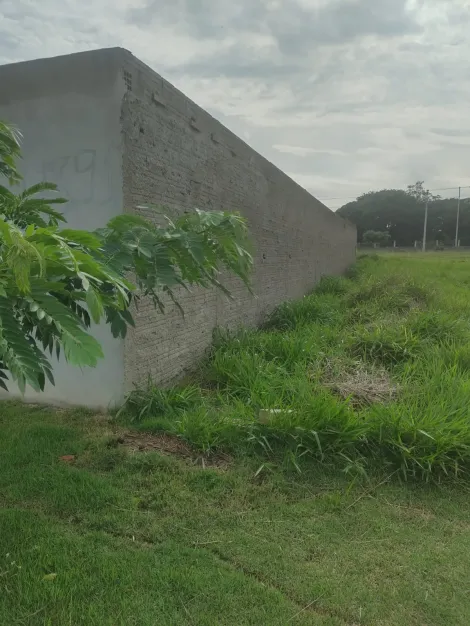 imagem 4 - Lote murado pronto para construir imagem 4 - Lote murado pronto para construir