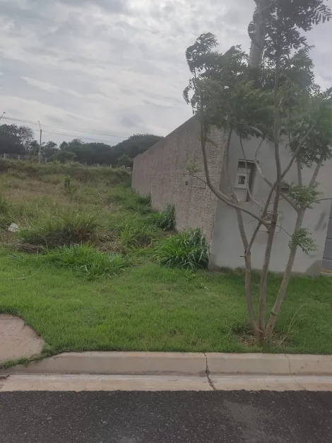 imagem 5 - Lote murado pronto para construir imagem 5 - Lote murado pronto para construir