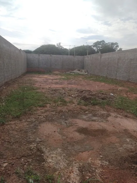 imagem 3 - Lote murado pronto para construir imagem 3 - Lote murado pronto para construir