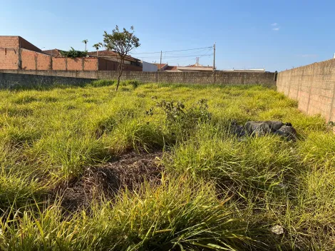 imagem 5 - lote no Jardim Embare imagem 5 - lote no Jardim Embare