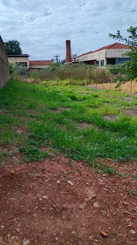 imagem 5 - OPORTUNIDADE ÚNICA! imagem 5 - OPORTUNIDADE ÚNICA!