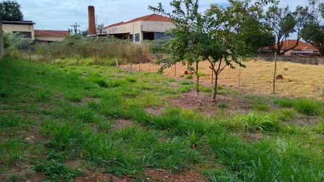 imagem 4 - OPORTUNIDADE ÚNICA! imagem 4 - OPORTUNIDADE ÚNICA!