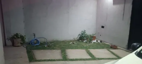 imagem 1 - Ipê Mirim imagem 1 - Ipê Mirim