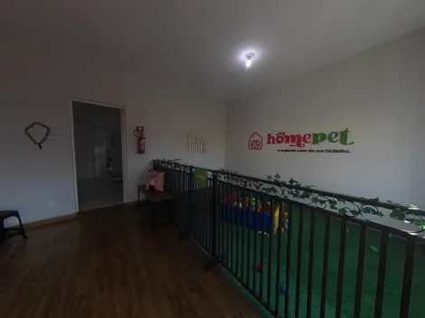 imagem 1 - Clinica veterinária e hotelzinho para pets imagem 1 - Clinica veterinária e hotelzinho para pets