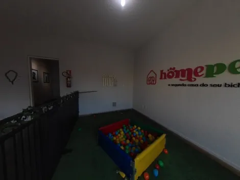 imagem 2 - Clinica veterinária e hotelzinho para pets imagem 2 - Clinica veterinária e hotelzinho para pets