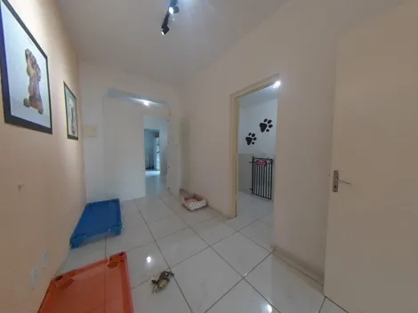 imagem 3 - Clinica veterinária e hotelzinho para pets imagem 3 - Clinica veterinária e hotelzinho para pets