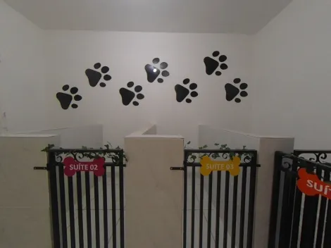 imagem 4 - Clinica veterinária e hotelzinho para pets imagem 4 - Clinica veterinária e hotelzinho para pets