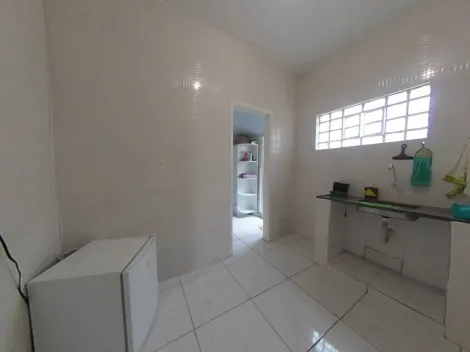 imagem 5 - Clinica veterinária e hotelzinho para pets imagem 5 - Clinica veterinária e hotelzinho para pets