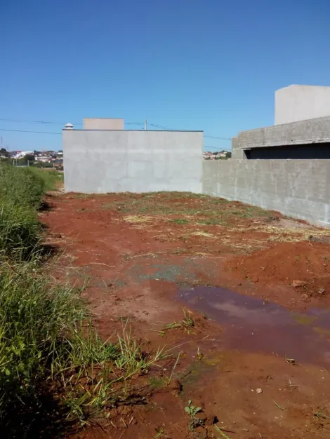 imagem 1 - Jardim Leticia imagem 1 - Jardim Leticia