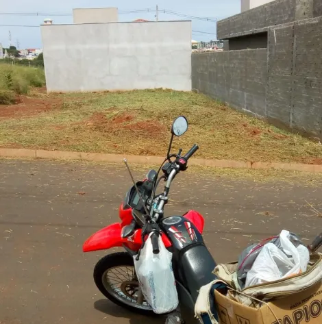 imagem 2 - Jardim Leticia imagem 2 - Jardim Leticia