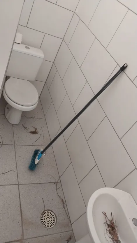 imagem 4 - Casa com salão comercial individuais imagem 4 - Casa com salão comercial individuais
