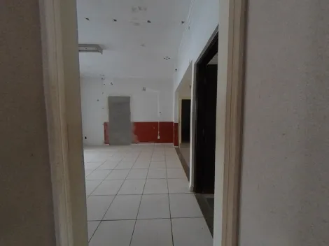 imagem 4 - casa para comercio no centro de São Carlos imagem 4 - casa para comercio no centro de São Carlos
