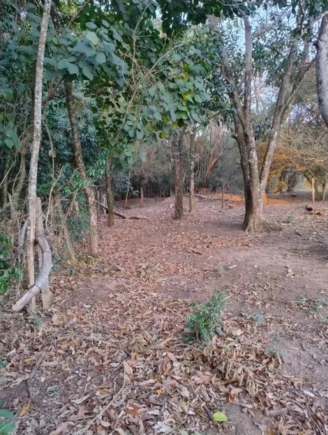 imagem 1 - Rural - Terreno sem Condomínio imagem 1 - Rural - Terreno sem Condomínio
