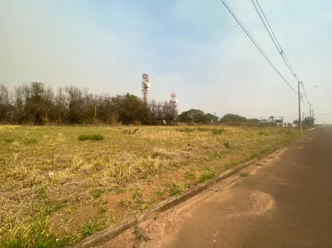 imagem 2 - Terreno - Padrão imagem 2 - Terreno - Padrão
