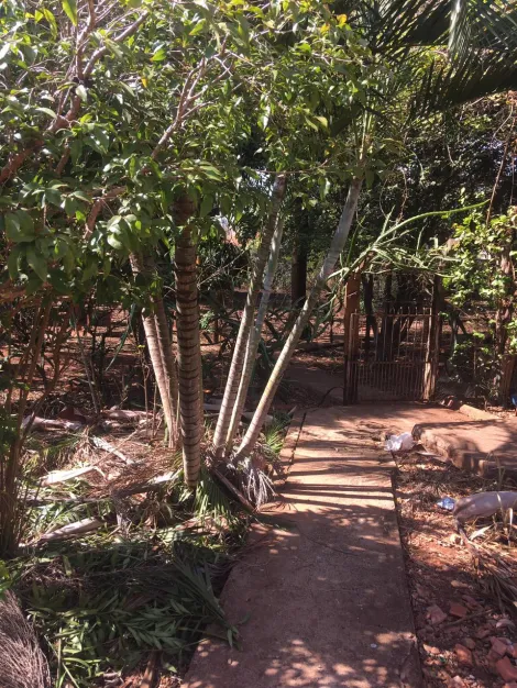 imagem 3 - Ótima localização! imagem 3 - Ótima localização!