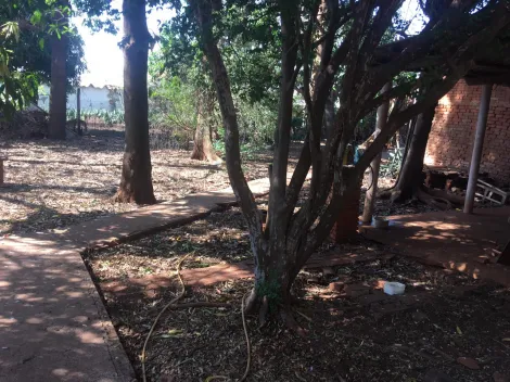 imagem 4 - Ótima localização! imagem 4 - Ótima localização!