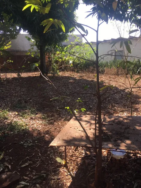 imagem 5 - Ótima localização! imagem 5 - Ótima localização!