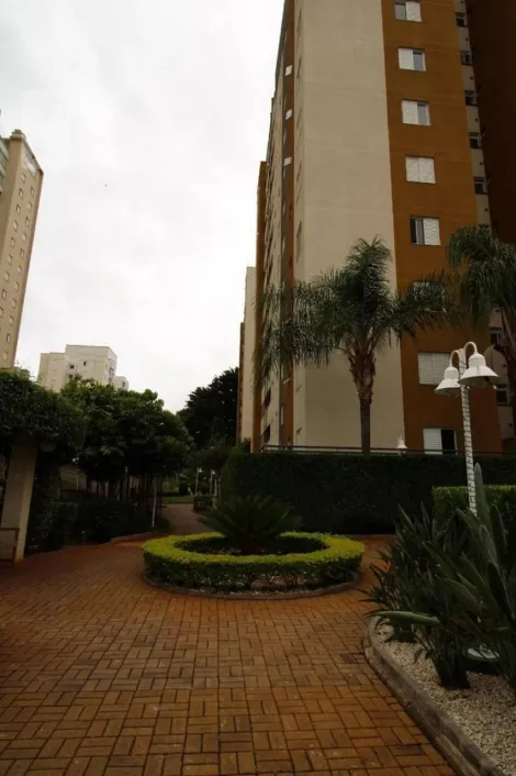 imagem 5 - Apartamento - Padrão imagem 5 - Apartamento - Padrão