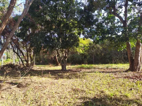 imagem 1 - Rural - Chácara imagem 1 - Rural - Chácara