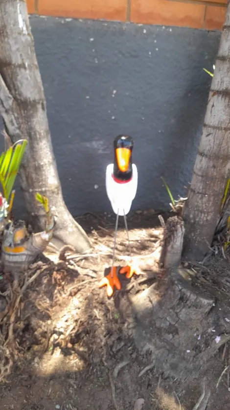 imagem 2 - Imóvel na Vila Marcelino imagem 2 - Imóvel na Vila Marcelino