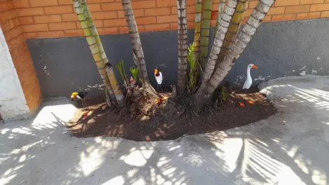 imagem 1 - Imóvel na Vila Marcelino imagem 1 - Imóvel na Vila Marcelino