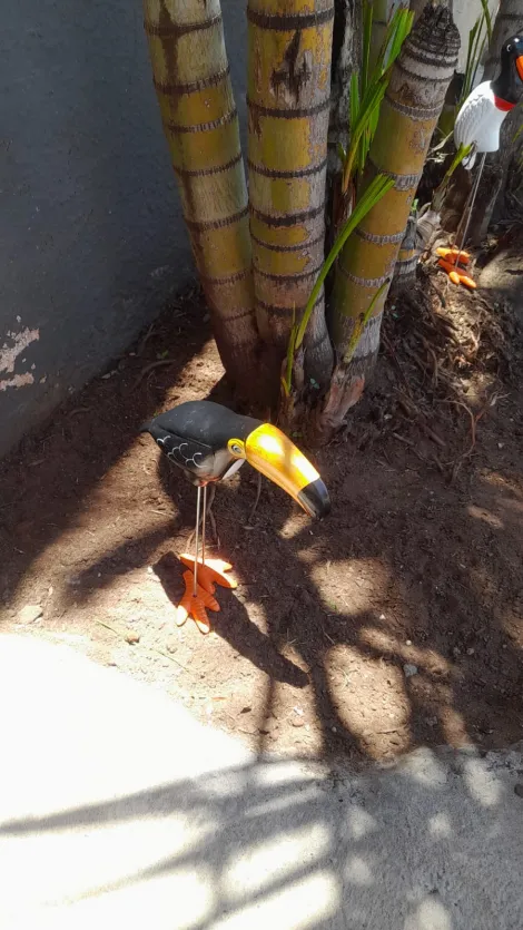 imagem 3 - Imóvel na Vila Marcelino imagem 3 - Imóvel na Vila Marcelino