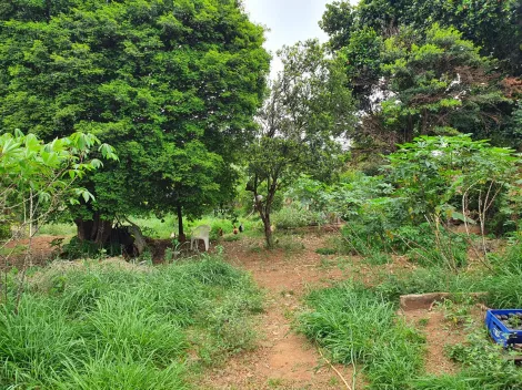 imagem 3 - Terreno - Área imagem 3 - Terreno - Área