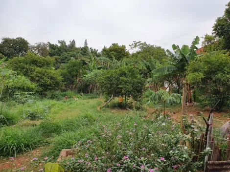 imagem 4 - Terreno - Área imagem 4 - Terreno - Área