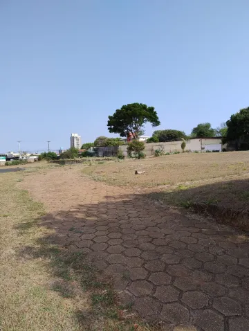 imagem 3 - Comercial - Terreno imagem 3 - Comercial - Terreno
