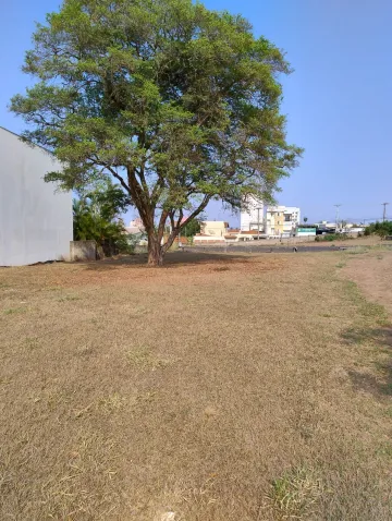 imagem 4 - Comercial - Terreno imagem 4 - Comercial - Terreno