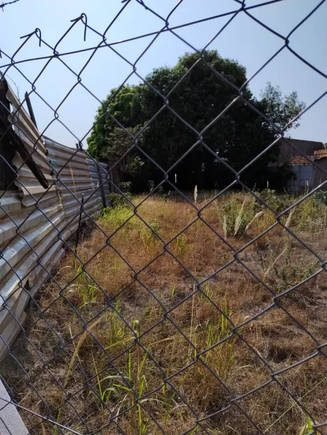 imagem 5 - Terreno - Padrão imagem 5 - Terreno - Padrão
