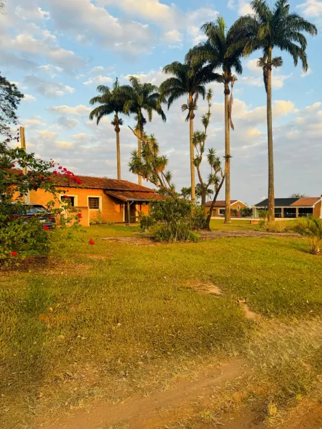 imagem 4 - Rural - Sítio imagem 4 - Rural - Sítio