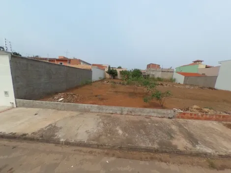 imagem 1 - Terreno - Padrão imagem 1 - Terreno - Padrão